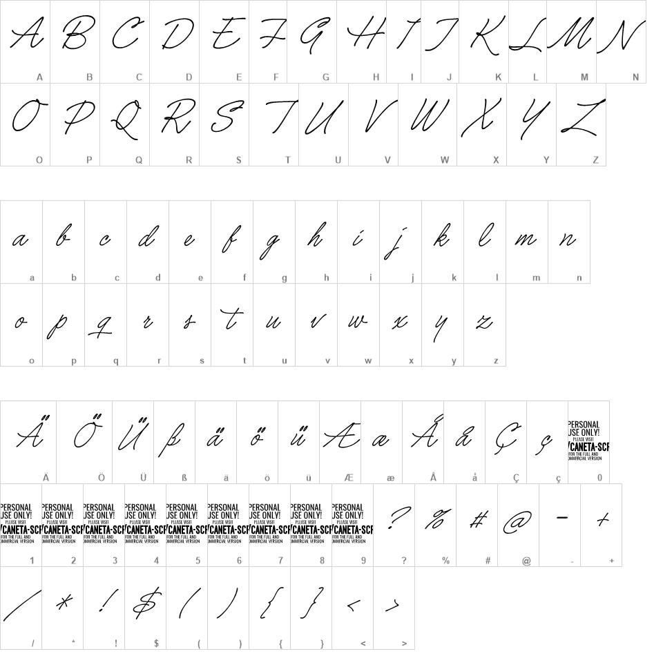 Caneta Script font