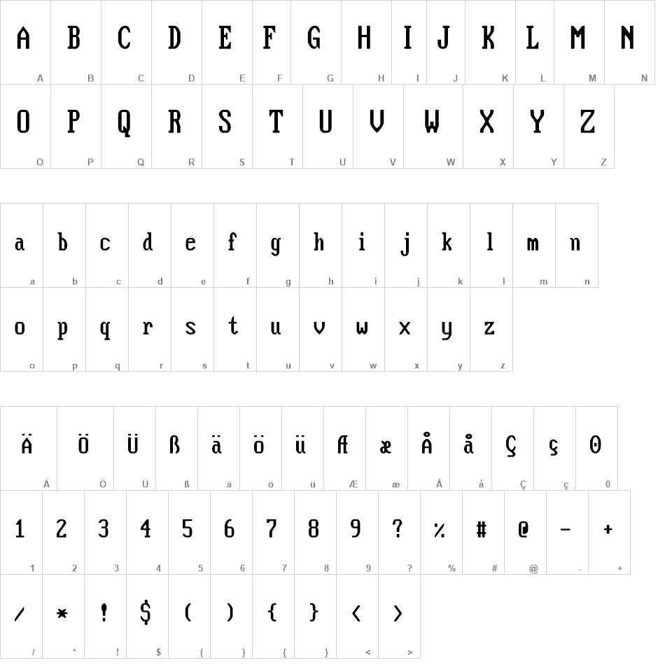 Flexi IBM VGA True font