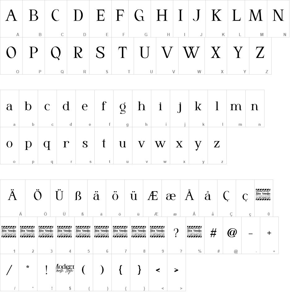 Modern Brush Style Serif font