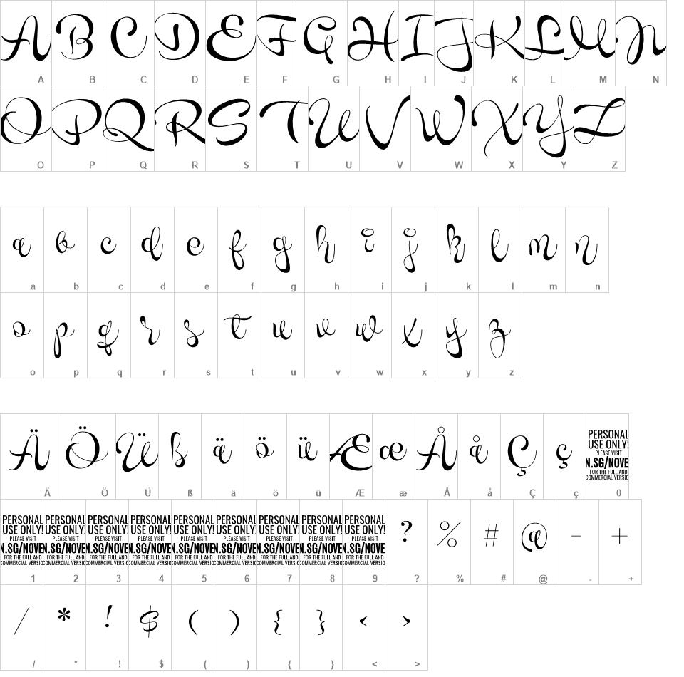 Novety Script font
